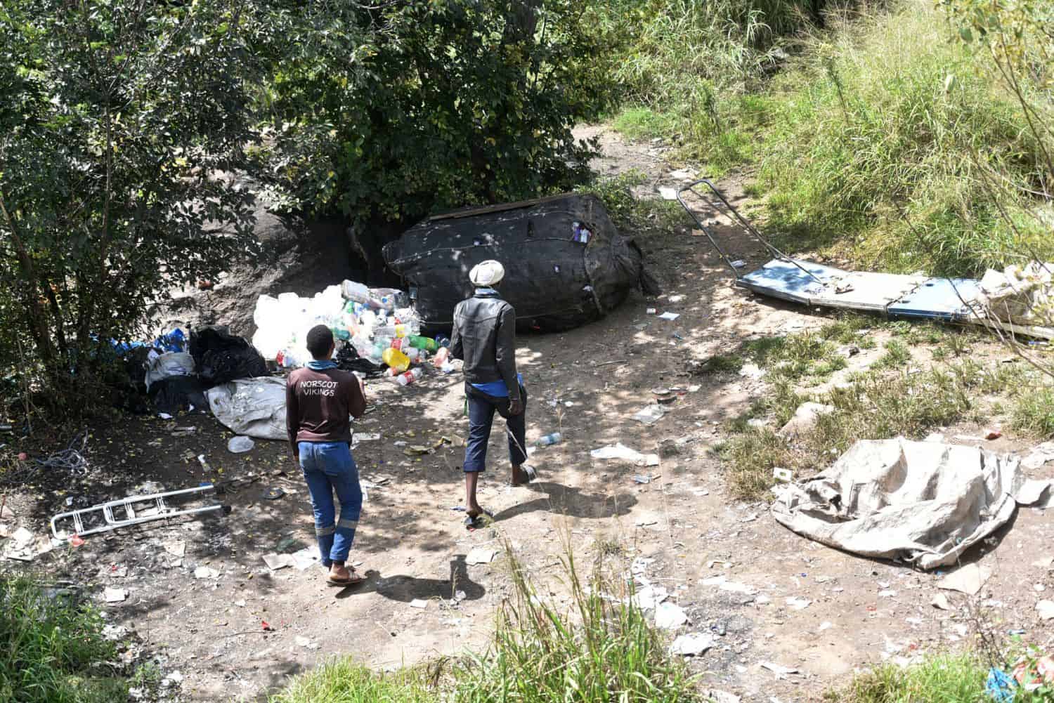 Ferndale bird sanctuary City of Joburg squatters building hijackers