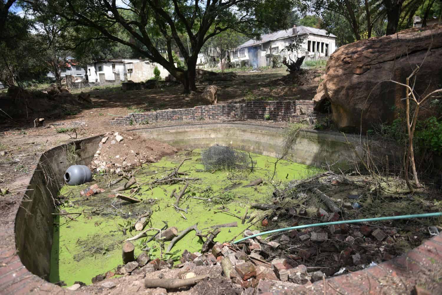 A government-owned property which has been hijacked along Cork Street in Ferndale, Randburg, on 23 March 2026. Private security is trying to prevent hijackers from occupying it. Picture: Nigel Sibanda/ The Citizen