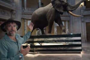 Africa's Ghost Elephants, real of imagined