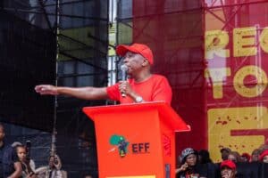 Julius Malema EFF Nhlanhla Mkhwanazi Madlanga commission