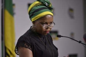 ANC Russia interference elections DA Mahlengi Bhengu