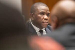 KZN police commissioner Nhlanhla Mkhwanazi Cat Matlala