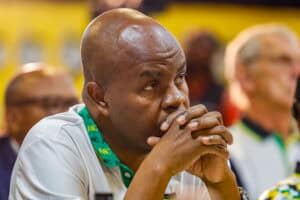 Mpumalanga Premier Mandla Ndlovu Deputy director general Peter Nyoni