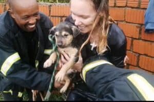 SPCA receptionist Landi Knoetze and a firefighter looking elated after getting the puppy to safety.