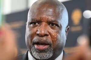 Mkhwanazi ad hoc committee