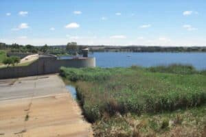 Pollution chokes Tshwane's Rietvlei Dam