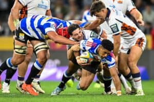 Stormers Edinburgh