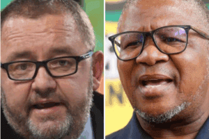 AfriForum asks US to act against Mbalula