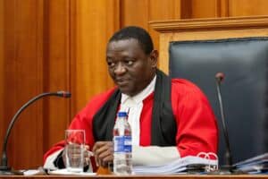 Western Cape High Court Judge Daniel Thulare Public Works