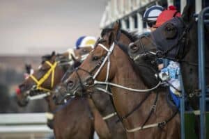 horse racing betting