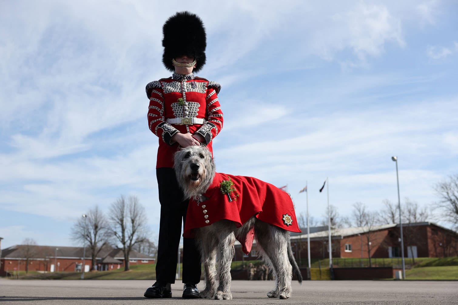 Irish Guards' mascot Seamus