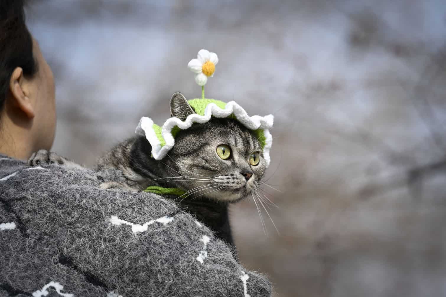 A woman holding a cat