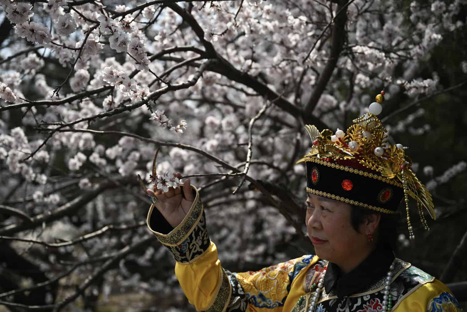 A woman wearing a traditional Chinese costume