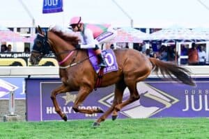 Horse racing at the Durban July