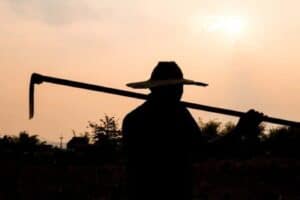 Violence without a face: Brutality knows no race