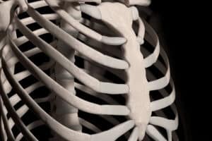 Skeleton which could be of musketeer d'Artagnan found in Netherlands