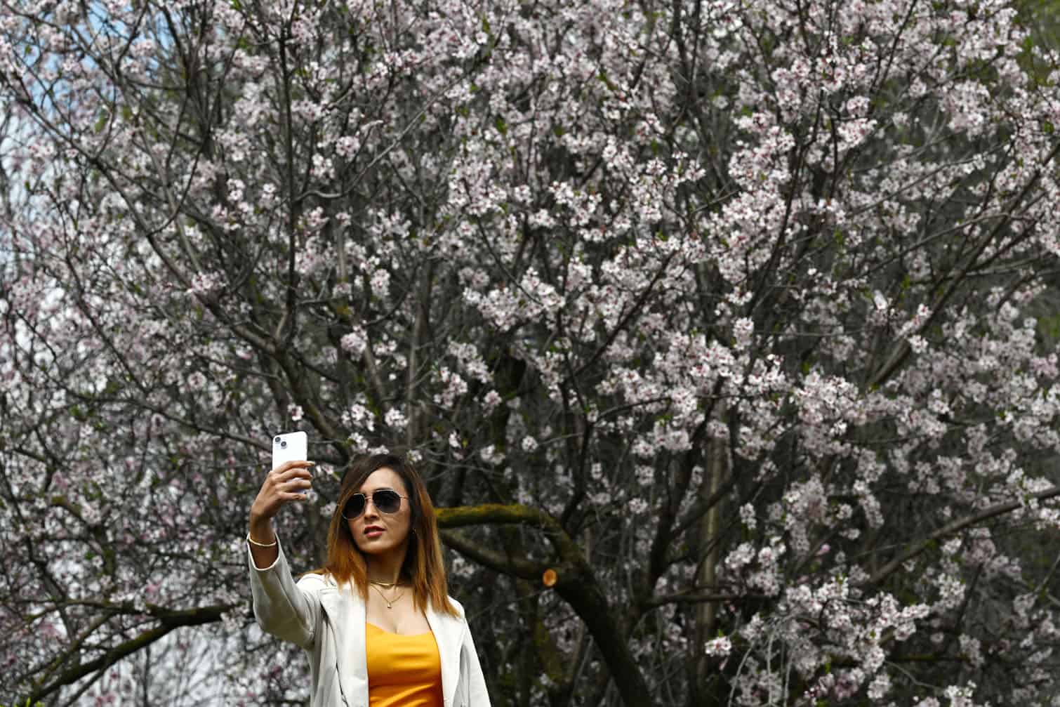 A tourist takes a selfie with almond blossoms