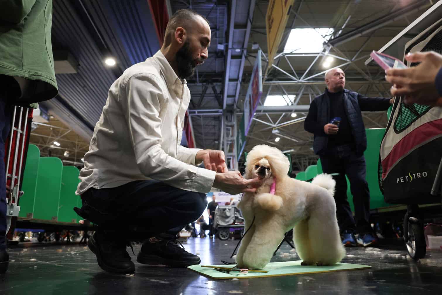 Crufts 2026 Day Three