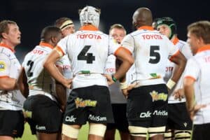 Cheetahs rugby