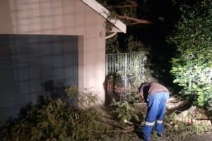 Municipal workers clearing branches blocking the neighbour's garage on the night of the incident. Image: Supplied. Description: Municipal workers cleared branches blocking the neighbour's garage on the night of the incident.