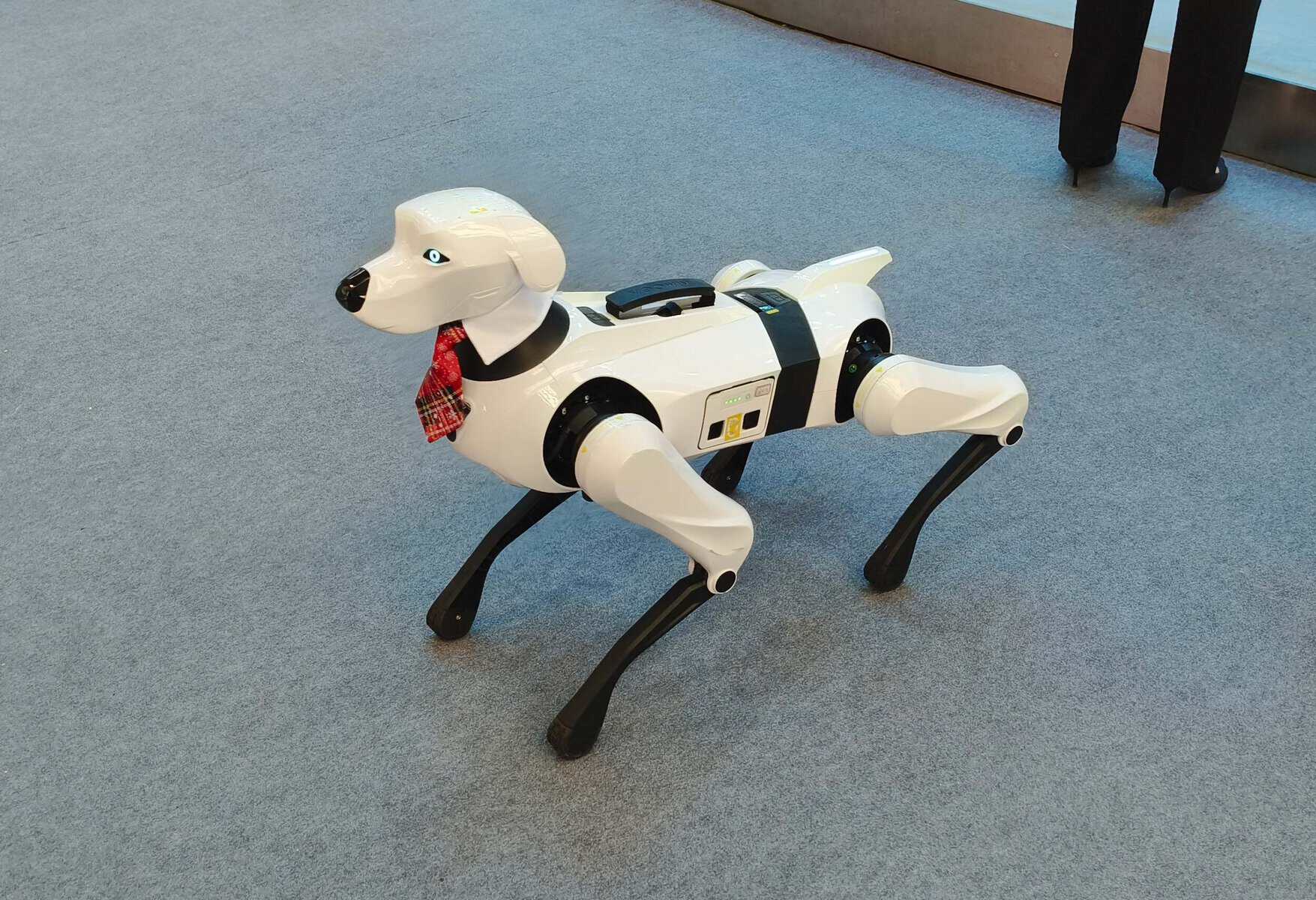 A robot dog