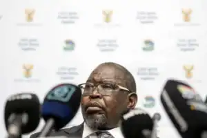 Ministers get R1.1 million car upgrade while South Africans struggle to fill their tanks — Bosa