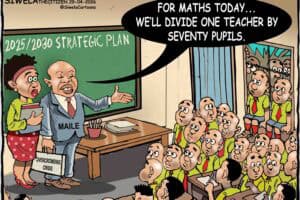 Cartoon gauteng schools overcrowding