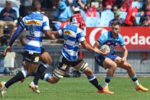Bulls utility back David Kriel