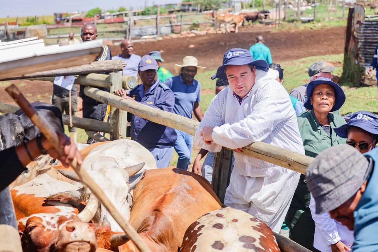 FMD crisis lays bare failures of the state