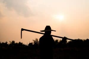 Farm attacks rise as violence levels remain high - AfriForum report