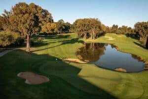 Houghton Golf Club allegedly banned Louis Seeco over Palestinian flag display