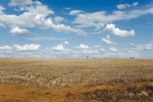 Land reform promises stolen by political elites again
