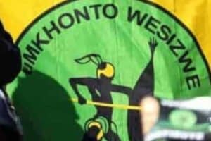 MK Party to make significant changes to Section 25 of the Constitution.