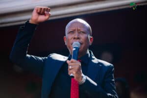 Will Julius Malema return to parliament.