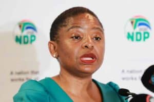 Ntshavheni says Cabinet is disgusted by the so-called coronation of a Nigerian king in KuGompo City