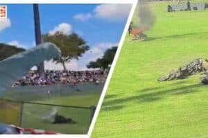 Screenshots of two of the viral videos.