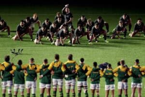 Springboks and All Blacks players