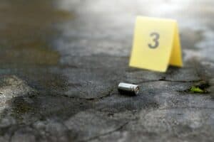 Police in Walmer have launched a manhunt following a quadruple murder