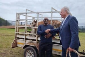 Jacob Zuma legal fees Louis Liebenberg Ponzi scheme