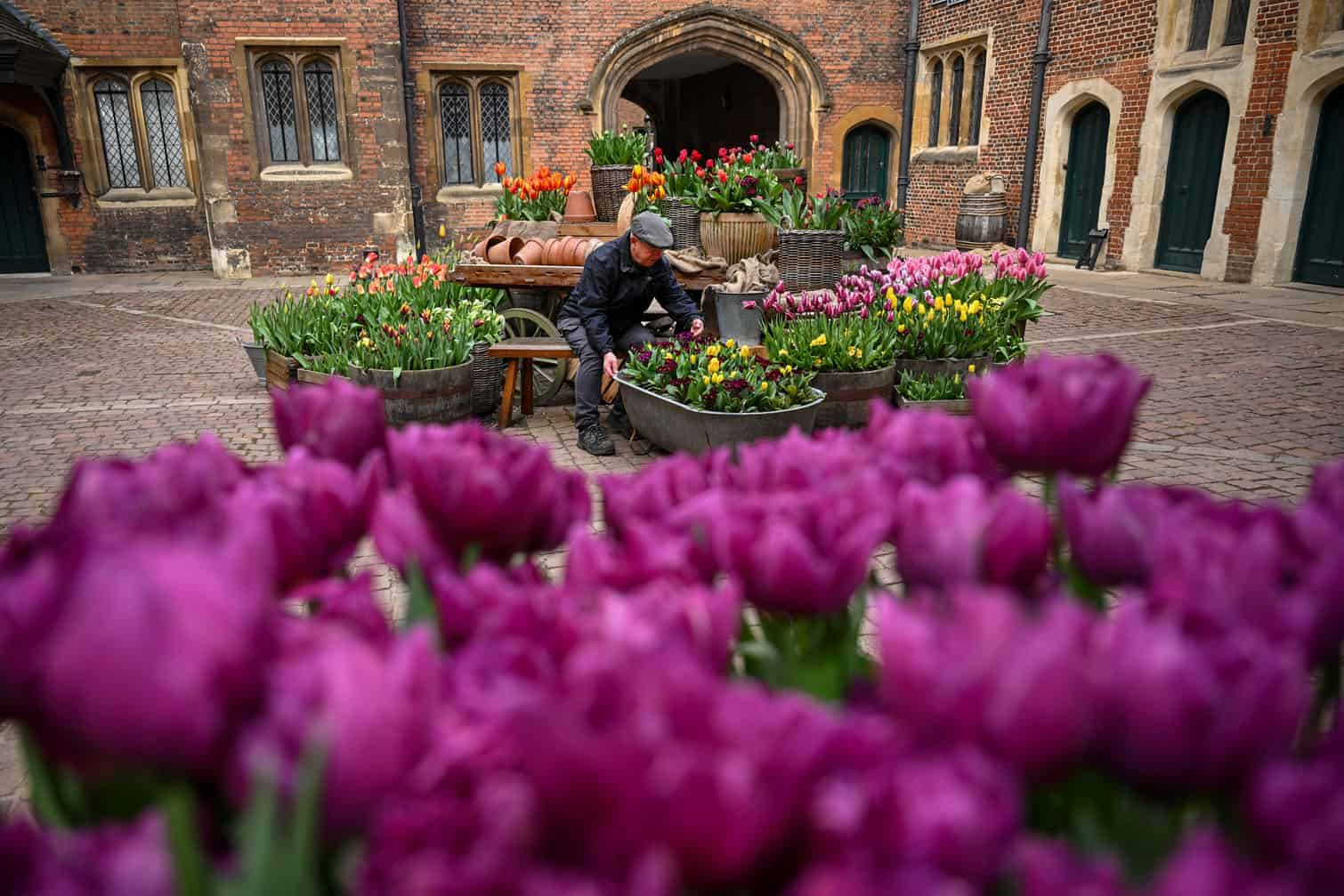 Growing team leader and plant specialist Martin Einchcomb