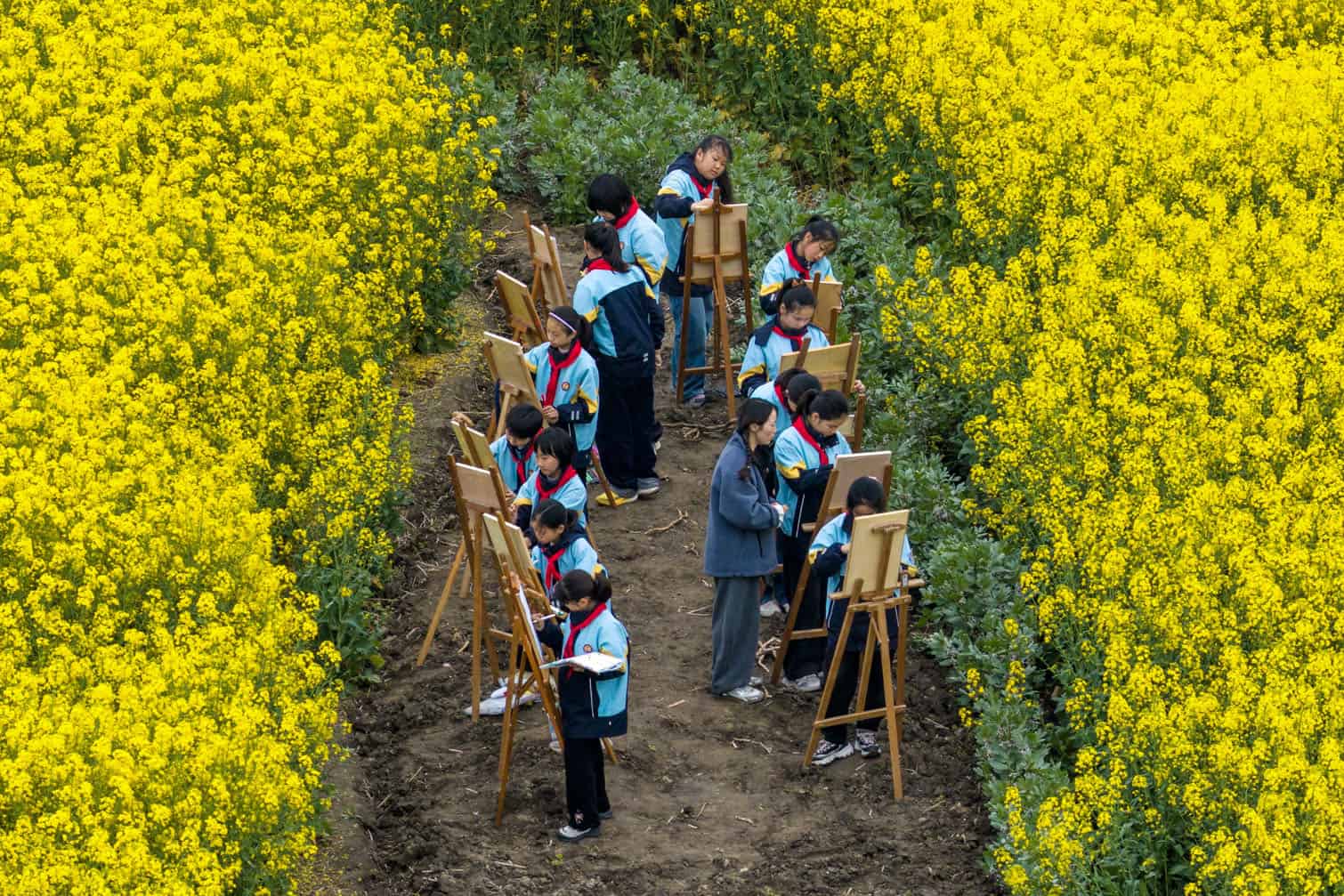 Students take part in an outdoor drawing activity