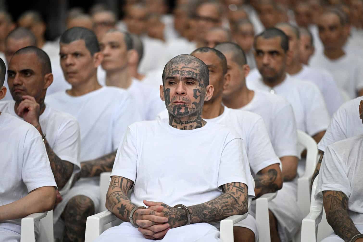 Alleged members of the Mara Salvatrucha