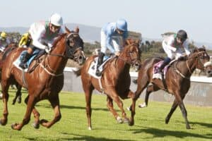 General horse racing action