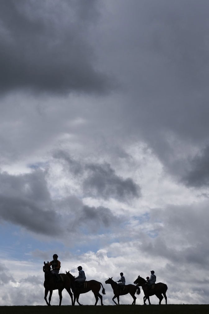 Runners pull up after The Weatherbys Global Stallions App Handicap