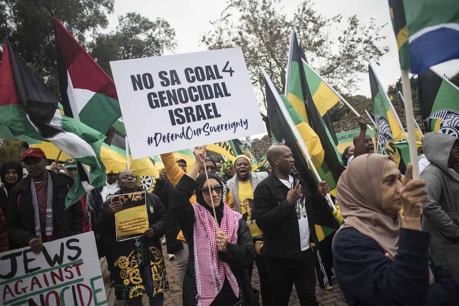 Pro-Palestinian activists