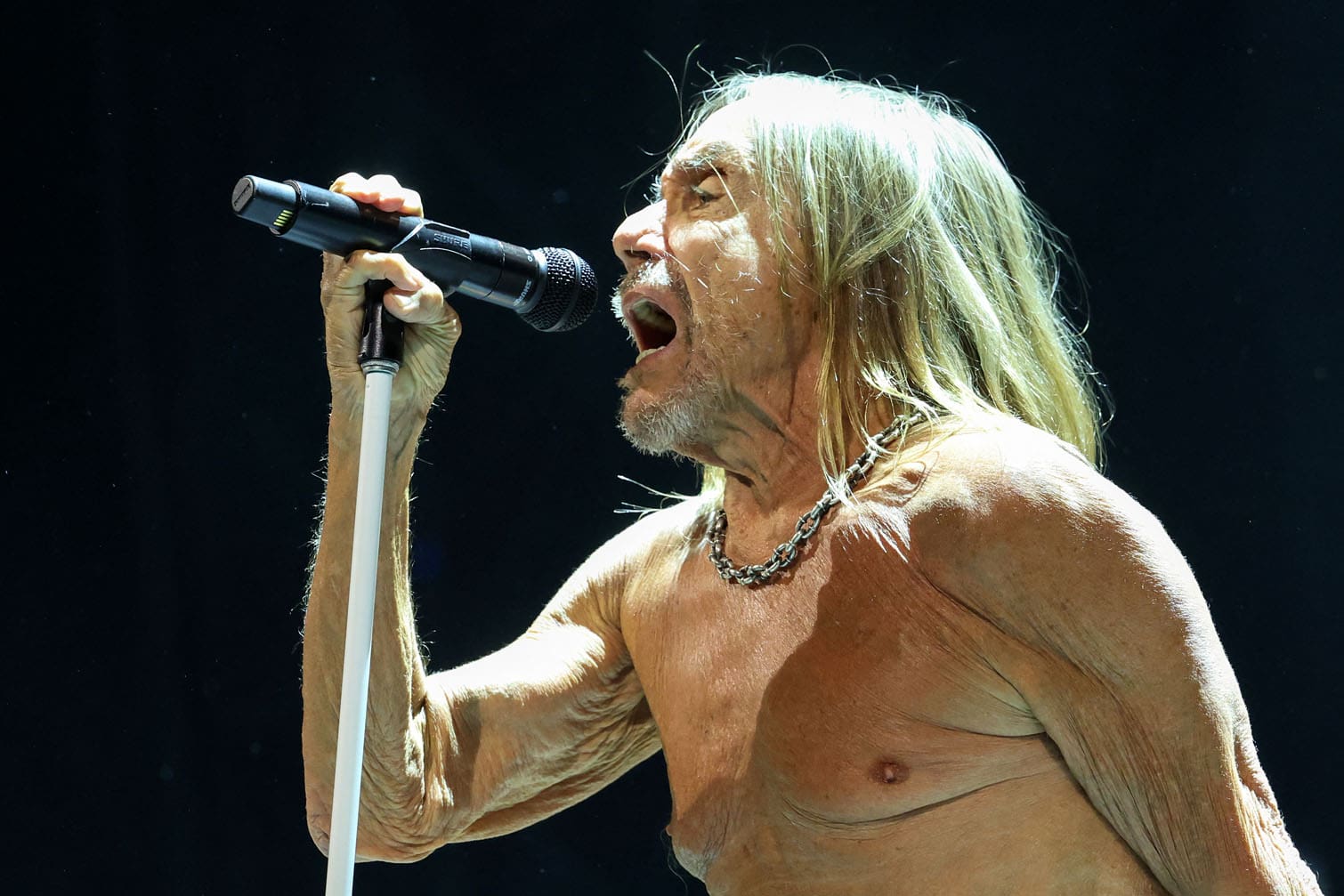US singer songwriter Iggy Pop