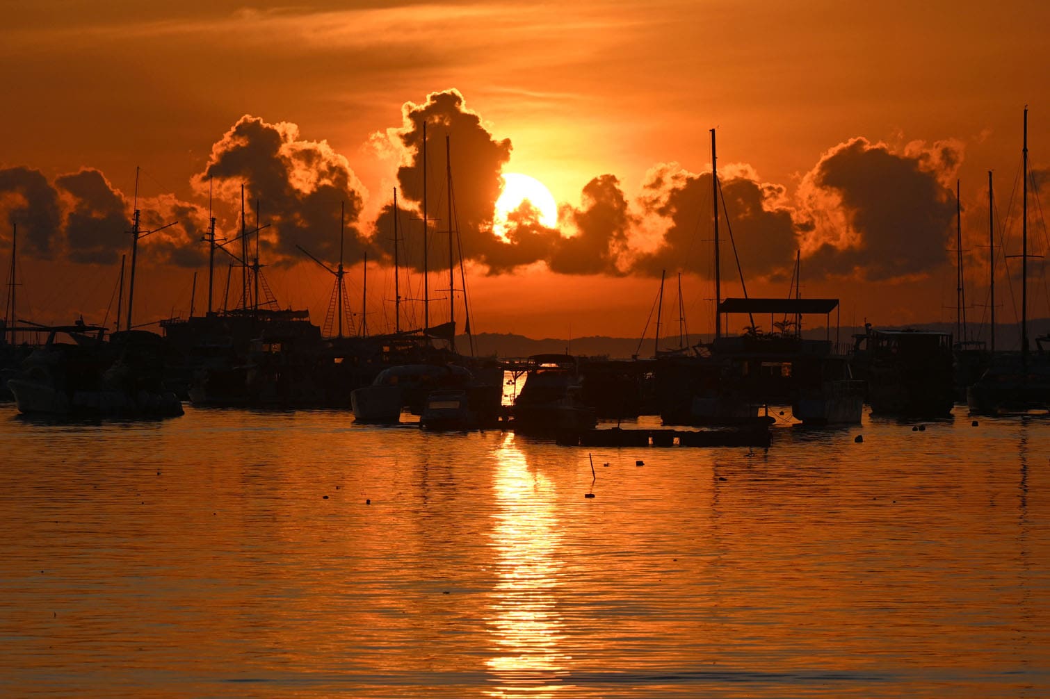 The sun rises behind boats moored at a pier