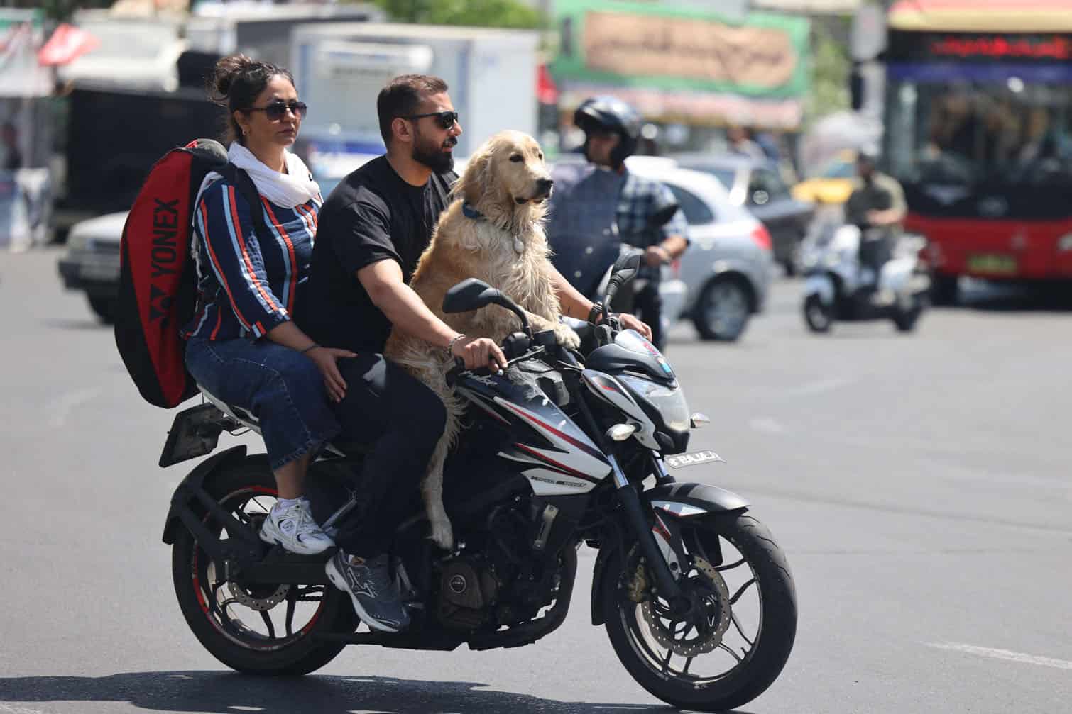 A couple with a dog ride a motorbike