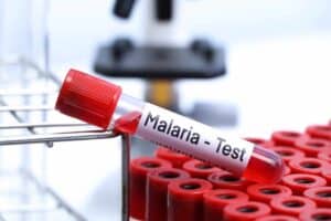 Malaria cases surge in Gauteng as deaths rise