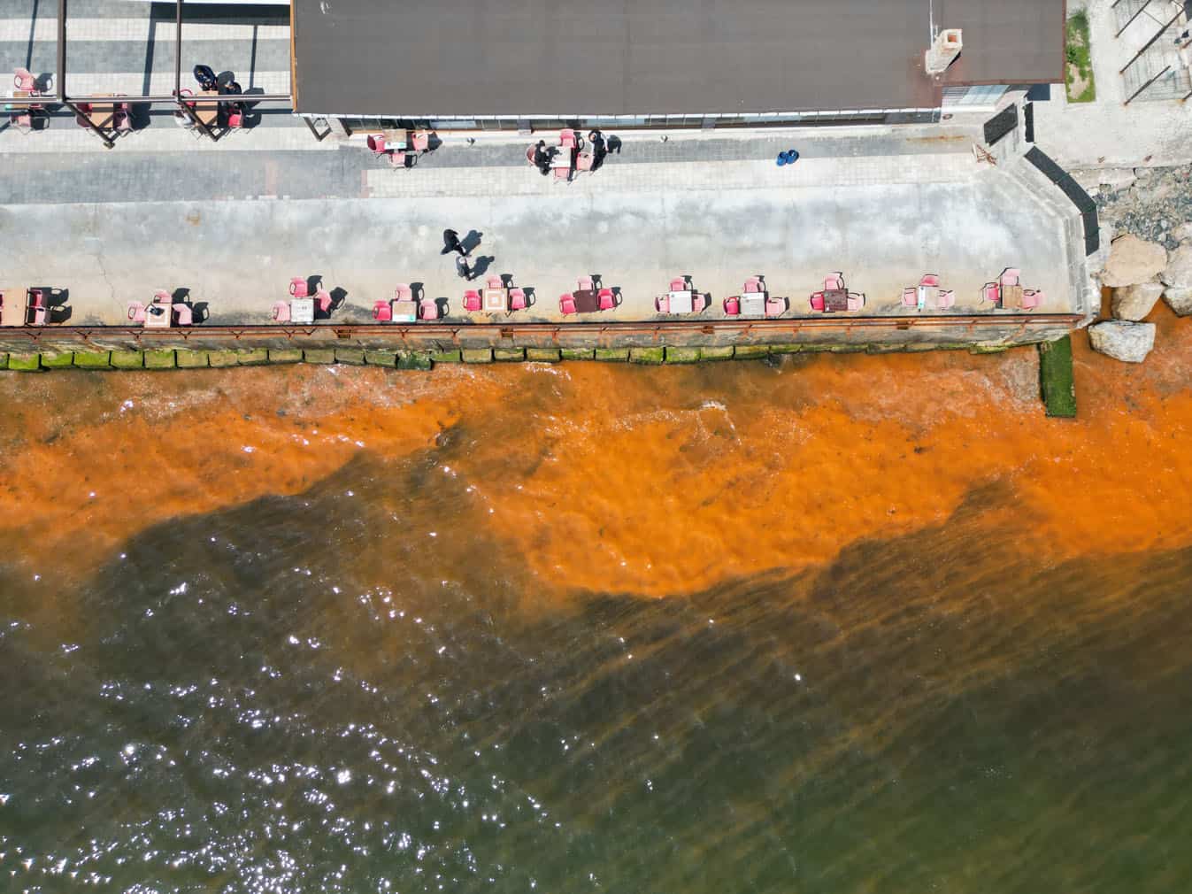 The color of the sea changed as a result of the plankton proliferation in Turkiye's Tekirdag